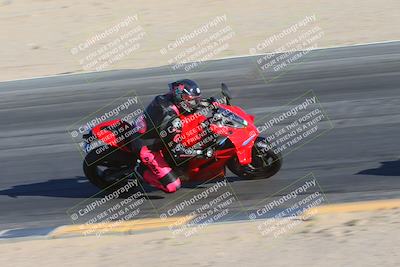 media/Jan-13-2025-Ducati Revs (Mon) [[8d64cb47d9]]/3-B Group/Session 5  (Turn 10 Inside)/